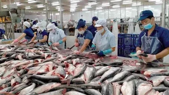 Fishery export grows 6.5% in five months